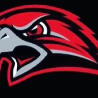 Pleasanton Hawks - 12U Premier Team