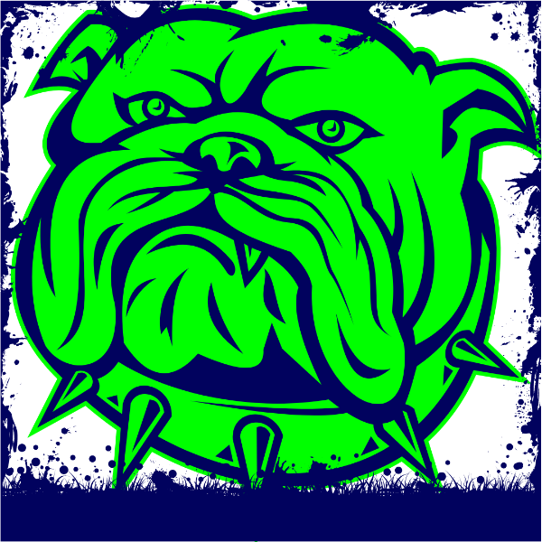 Premiere Training Academy 2016 green