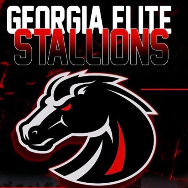 Georgia Elite Stallions