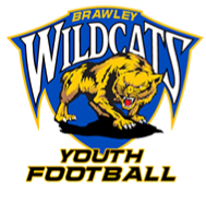 Brawley Wildcats - 13U