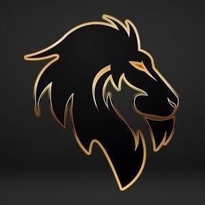 Vaughn Sports Academy (VSA) Select Northeast 12u