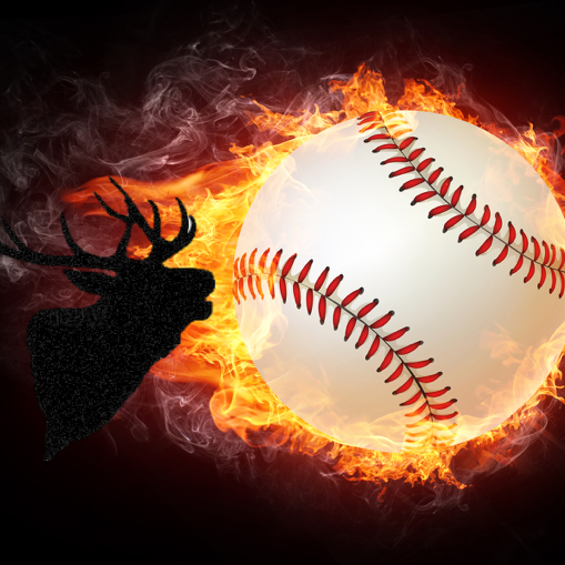 Centerville Elks - Kristbaum