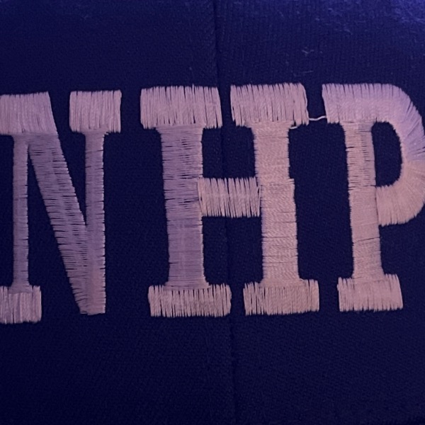 New Hyde Park AA Blue Devils