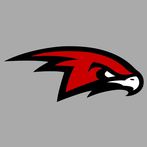 Illinois Hawks 12U - Chlebanowski