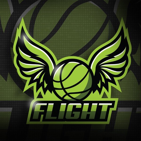 Illinois Flight 2031