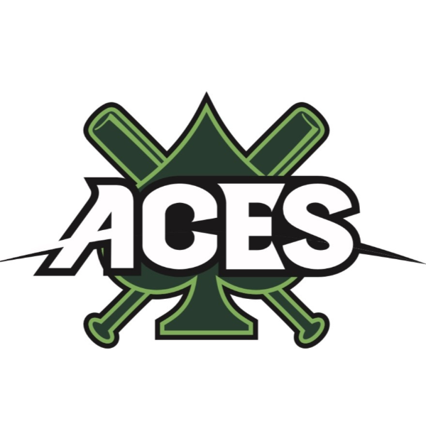 Aurora Ace's 13U
