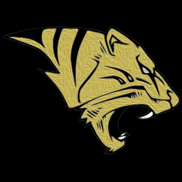 Ardmore Tigers 6u Black Flag Team # 1