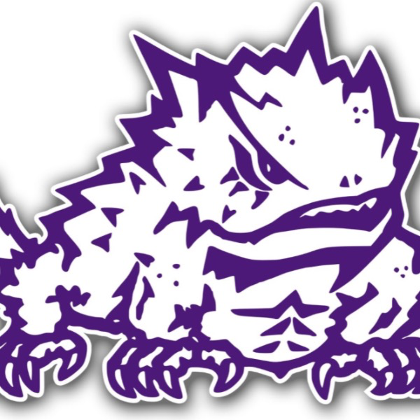 EMYA 6U Horned Frogs