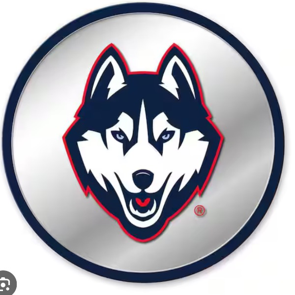 Iron City Huskies 2028