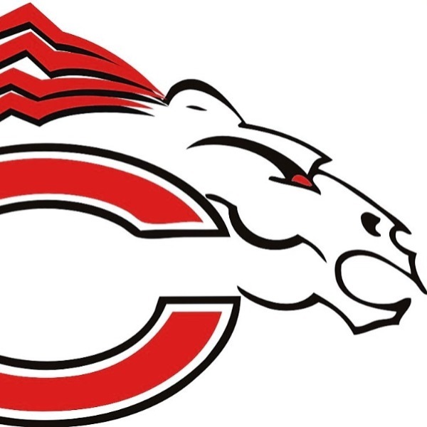 9u North Dekalb Chargers