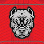 Tucson Pitbulls 10u Football