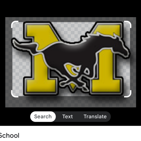 2025 Massapequa Mustangs Travel 9