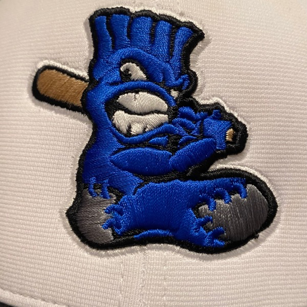 GT Blue Sox