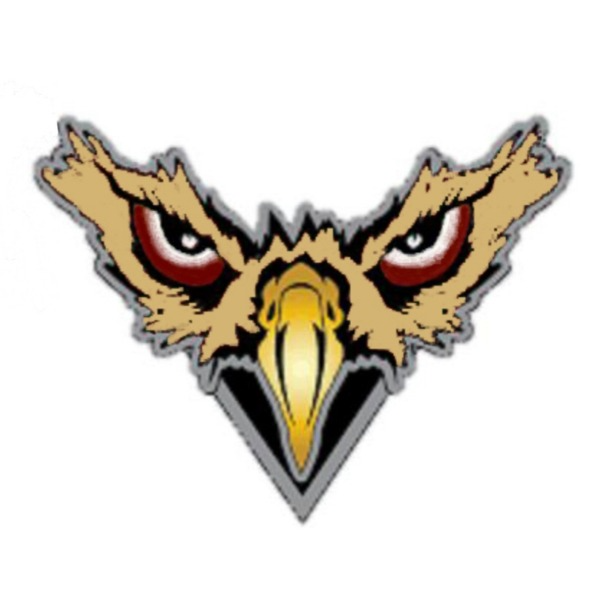 Finger Lakes Falcons 12U Gold