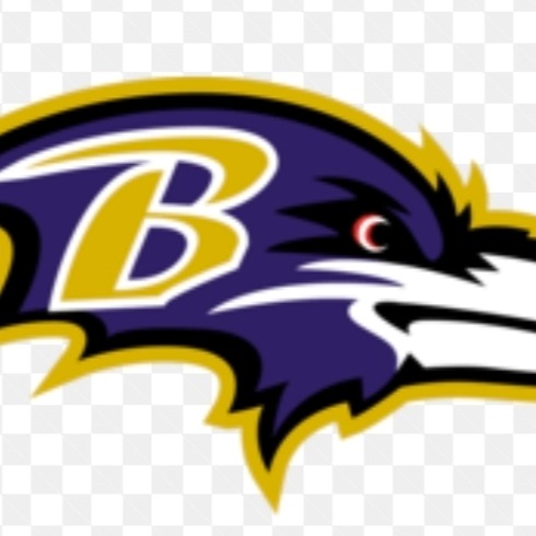 NM Ravens