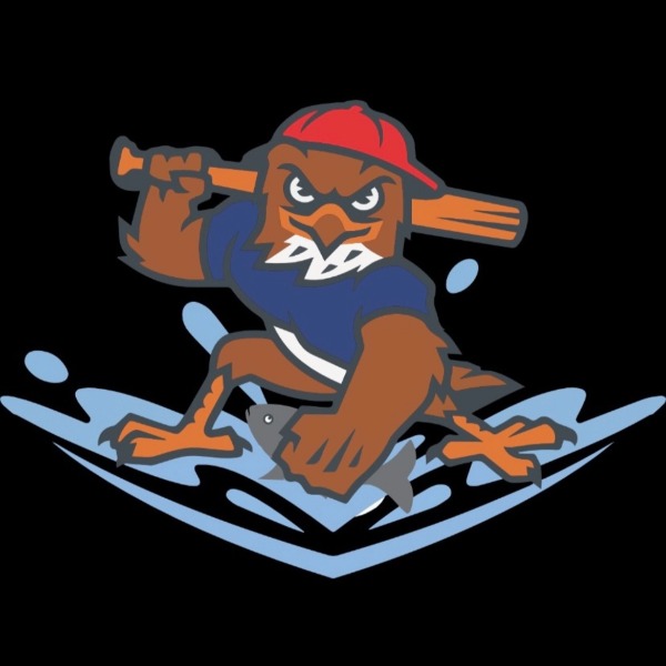 North Wall FishHawks