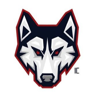 Iron City Huskies 2029