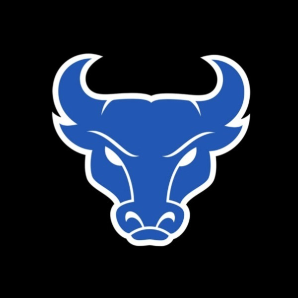 Powerhouse Bulls 2030