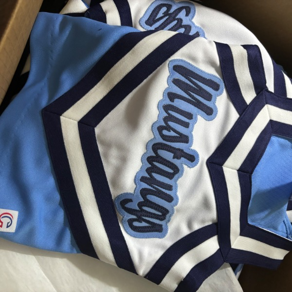 MEADOWCREEK - Cheer & Mascot - 8th grade