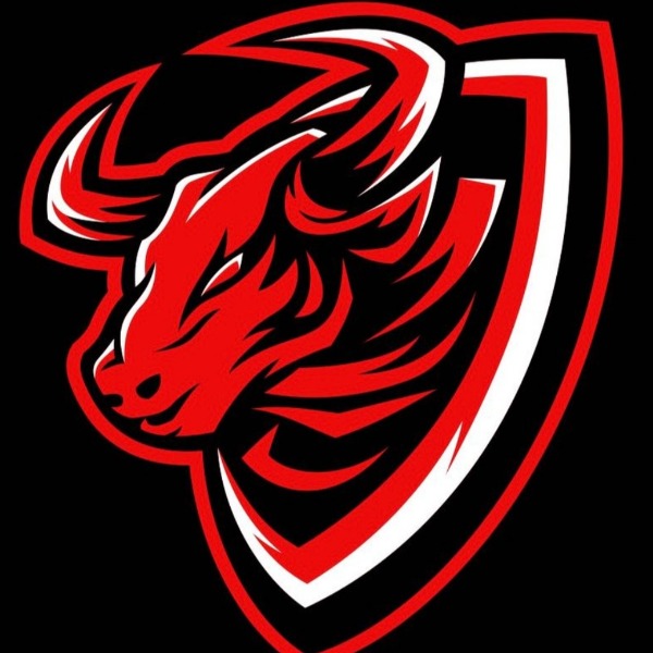 Bulls Nation Basketball 2032