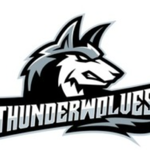 ThunderWolves