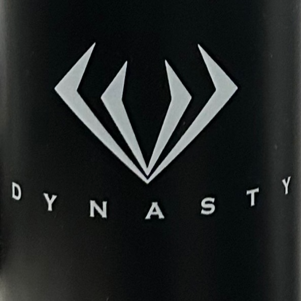 Team Dynasty Hoopers