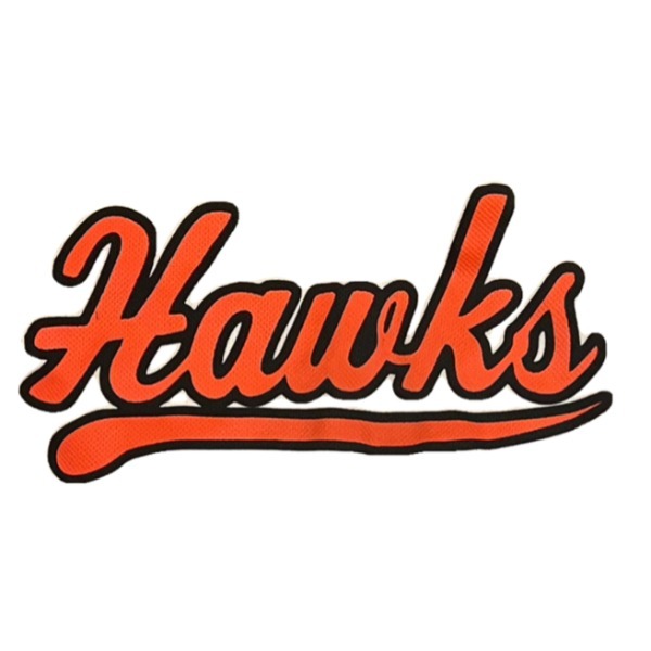 Hudson Valley Hawks 11U