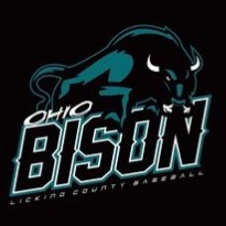 Ohio Bison