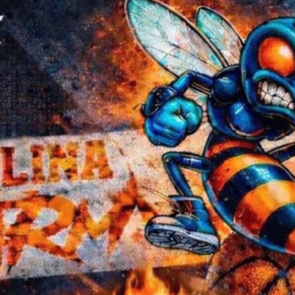 Carolina Swarm
