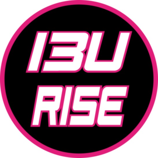 TEAM STEEL MVP RISE 13U