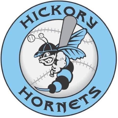 Hickory Hornets 8u Black