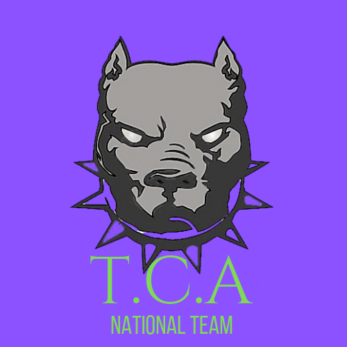 The Champions Academy