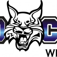 WV Wildcats Select 2024