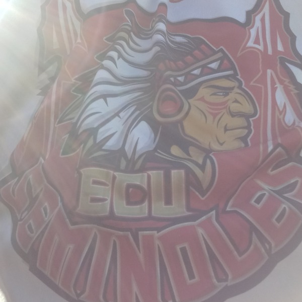 Seminoles