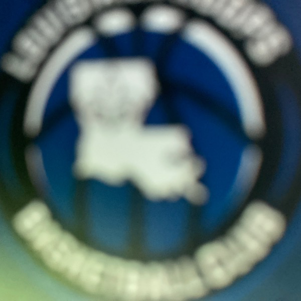 Louisiana Hoops 2030