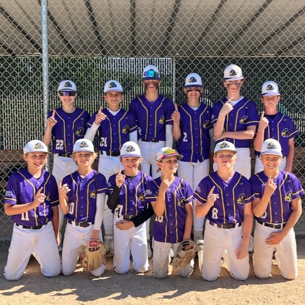 Chaska Hawks 12AAA