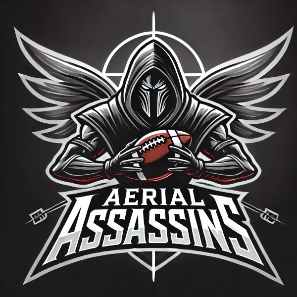 Aerial Assassins