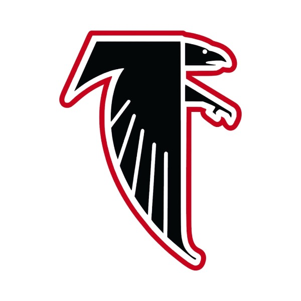 Bill Arp falcons 10u