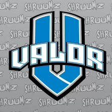 8U Valor