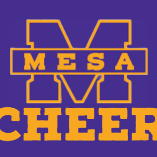 Mesa Stars Cheer