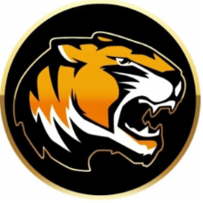 Mount Pleasant Tigers Flag