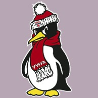 YYFFA Penguins 10u Girls