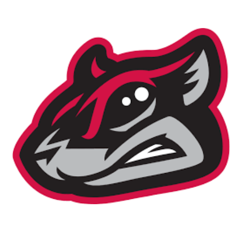 Florida Flying Squirrels