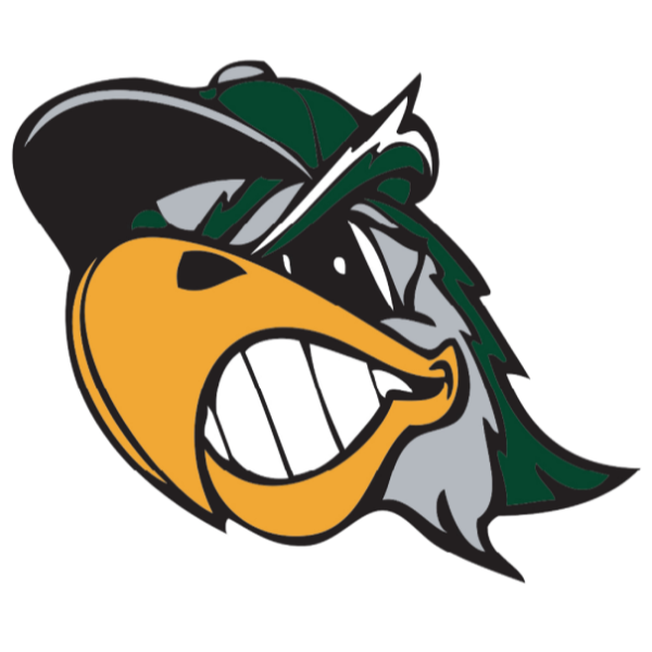 Bartlett Silverhawks 12u