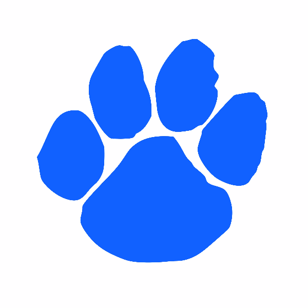 NFL Flag Bothell Squad