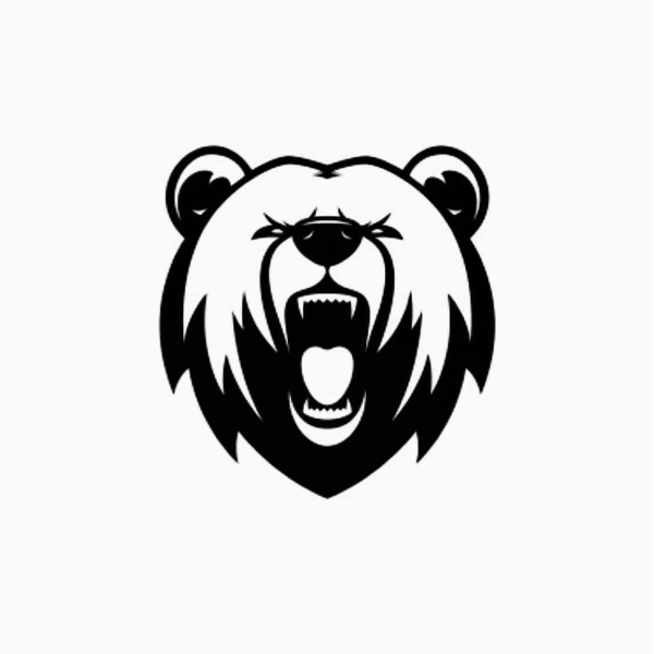 Chelsea Bears  14u (CSB) 2024-NEYT