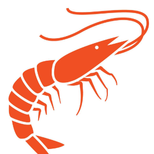 The Shrimps