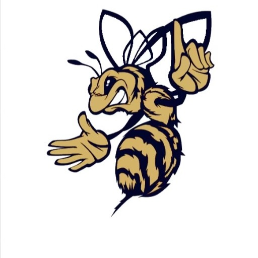 Mountain State Stingers