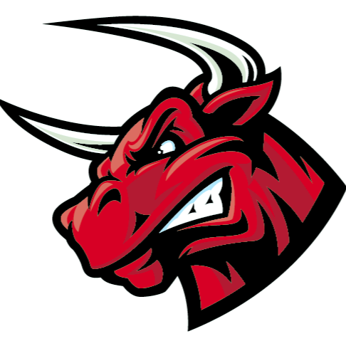 Effingham Bulls