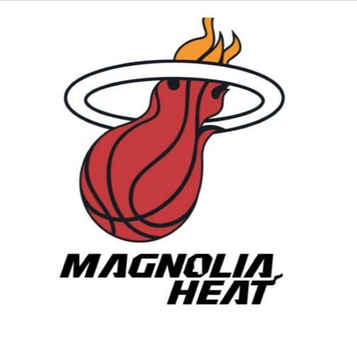 '25 MS Magnolia Heat- Girls